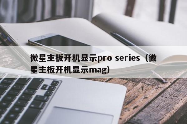 微星主板开机显示pro series（微星主板开机显示mag）