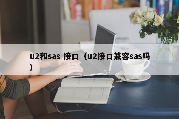 u2和sas 接口（u2接口兼容sas吗）